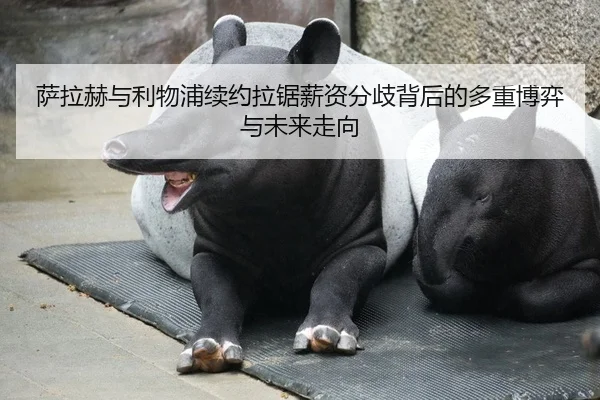 萨拉赫与利物浦续约拉锯薪资分歧背后的多重博弈与未来走向